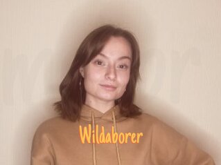 Wildaborer