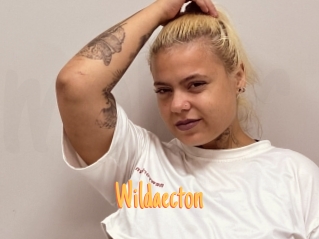 Wildaecton