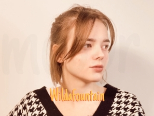 Wildafountain