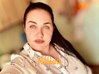 Wilddaisy