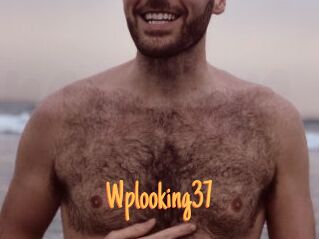 wplooking37 Mobile Porno
