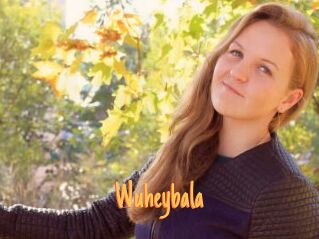 Wuheybala