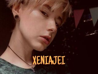 XENIA_JEI