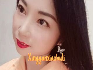Xingganxiaohuli
