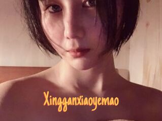 Xingganxiaoyemao