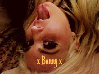 _x_Bunny_x_