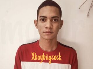 Xboybiigcock