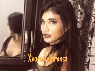 Xhorseccktransx