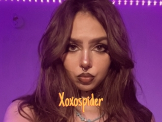 Xoxospider