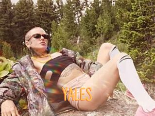 YALES Mobile Porno