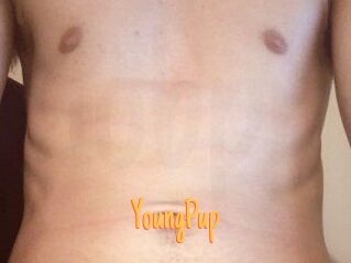 YoungPup