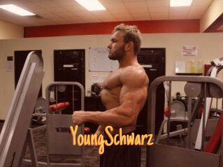 YoungSchwarz Mobile Porno