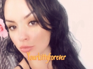 Yourkittyforever