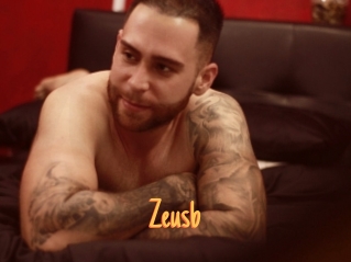 Zeusb
